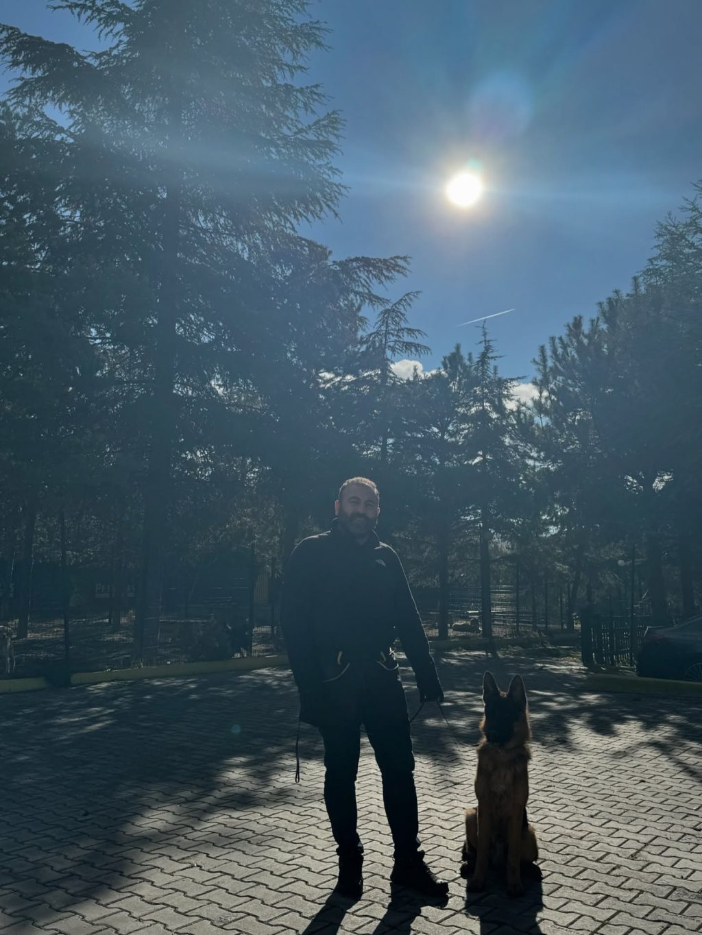 Instagram post from petvillas. This post is in position 1.