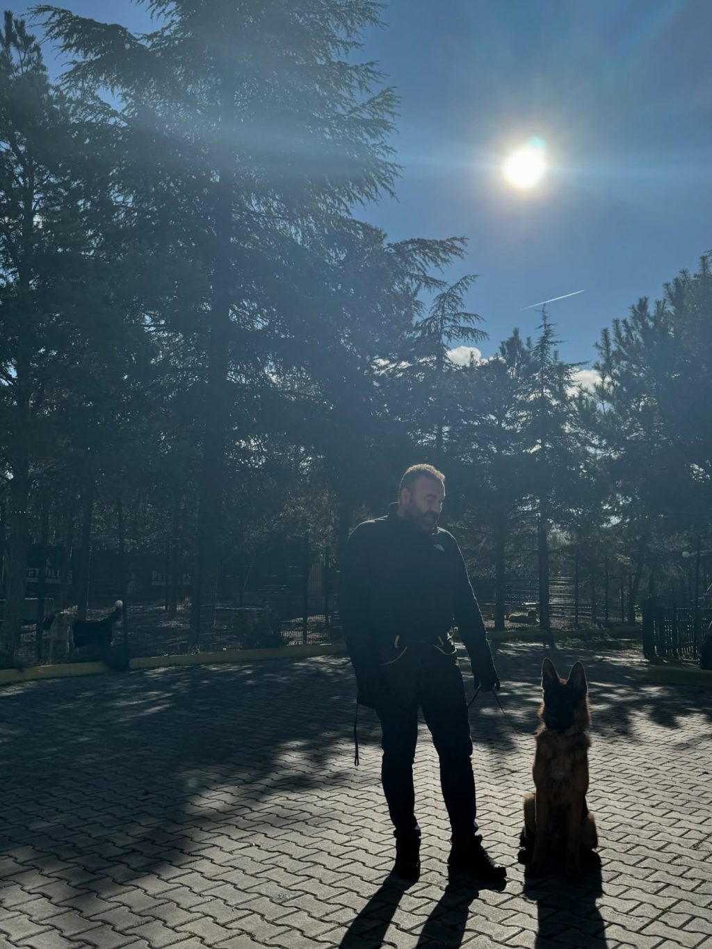 Instagram post from petvillas. This post is in position 0.